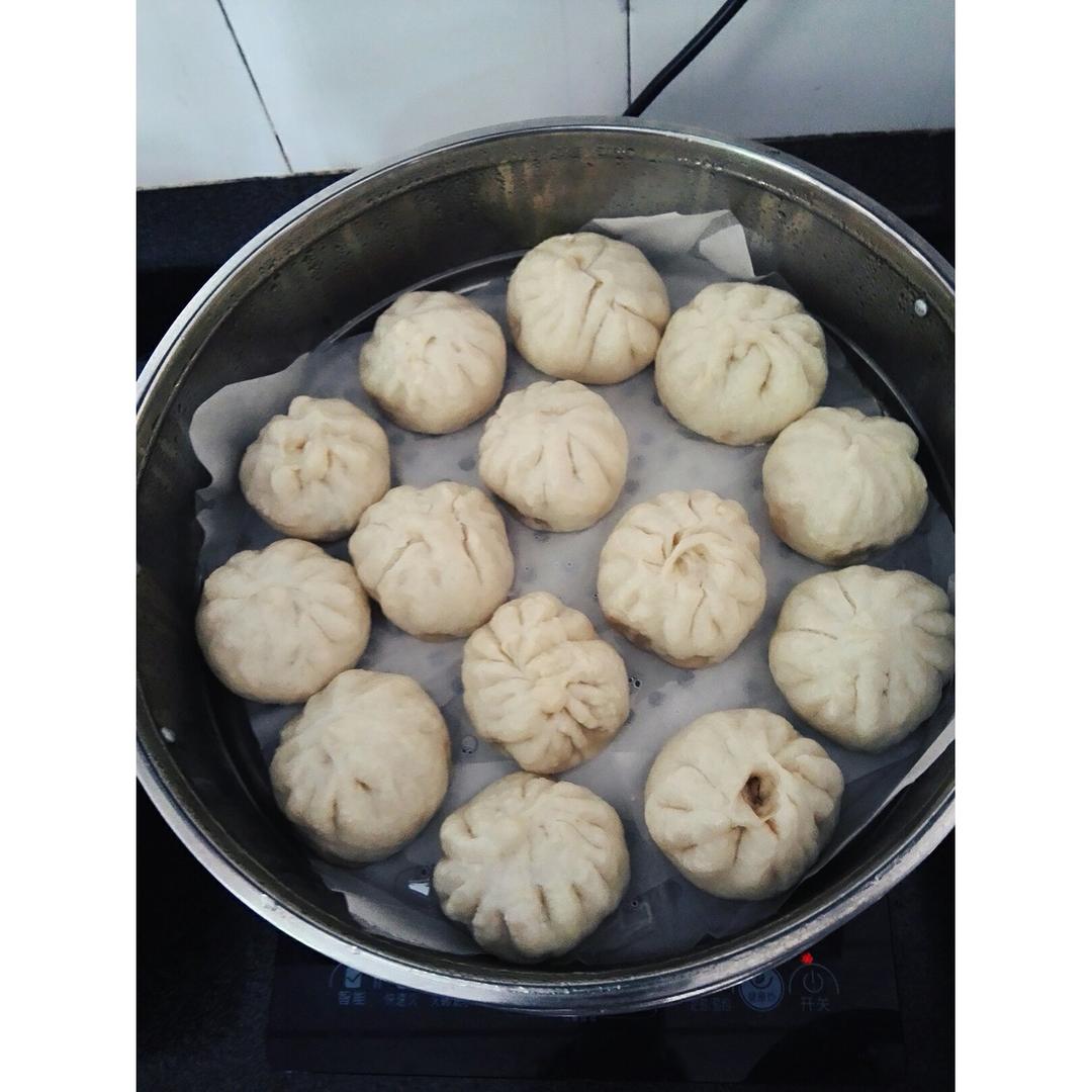 堂妈教你山菜鲜肉大包子