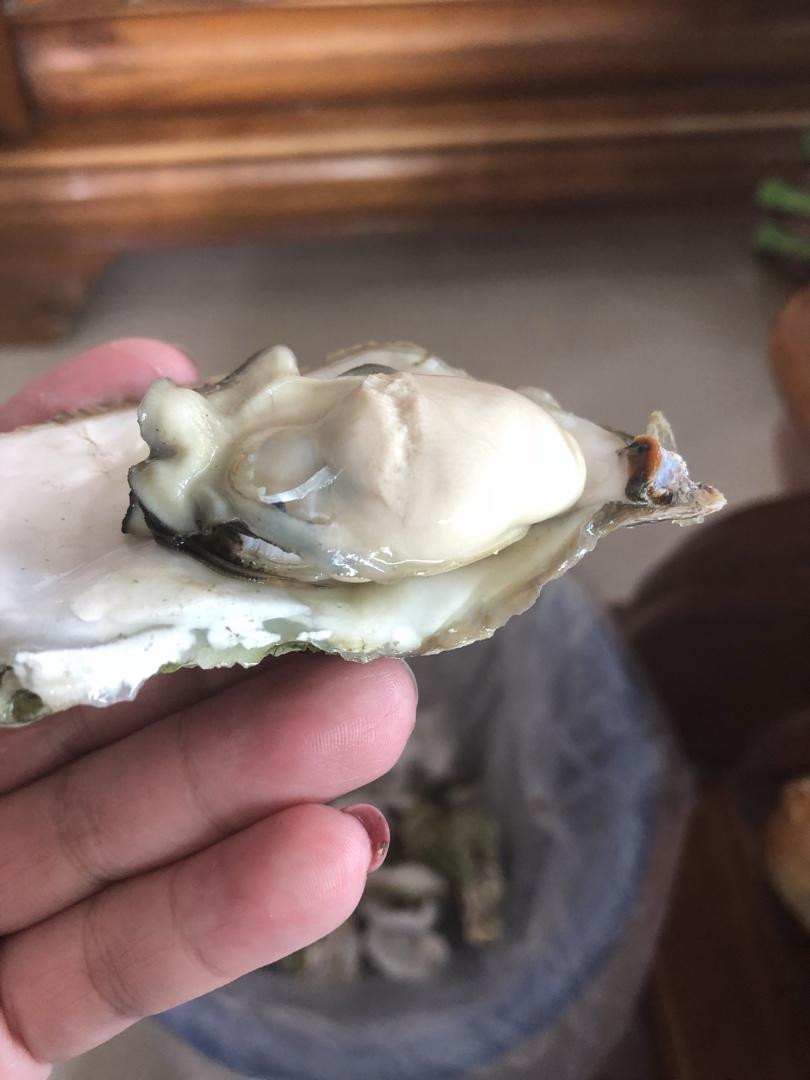 清蒸生蚝