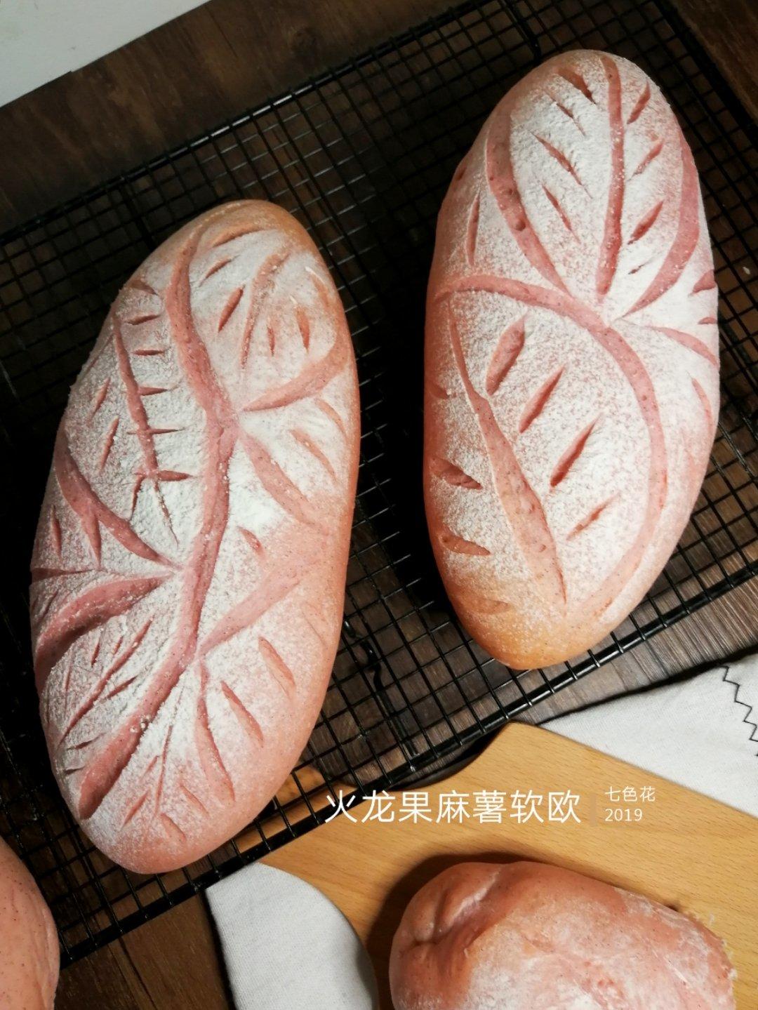 火龙果麻薯软欧