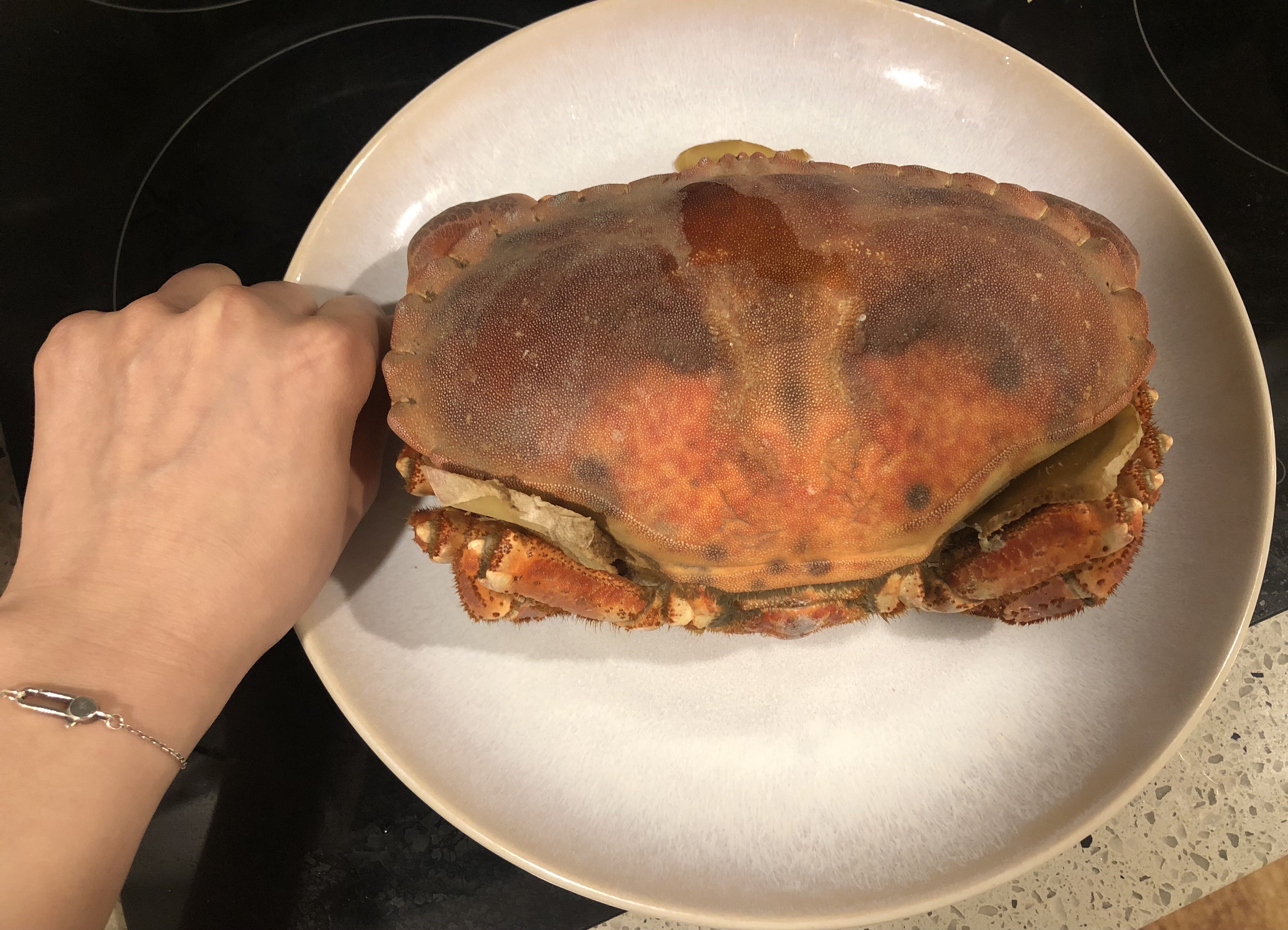 清蒸面包蟹的做法