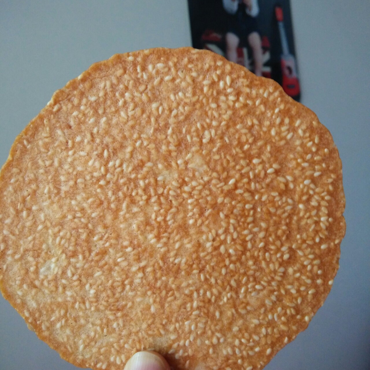 芝麻脆饼 饼干