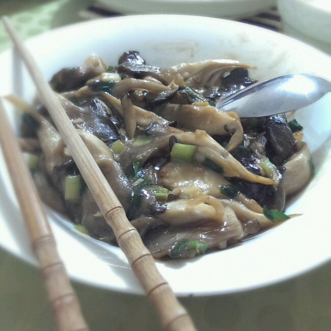 烧蘑菇