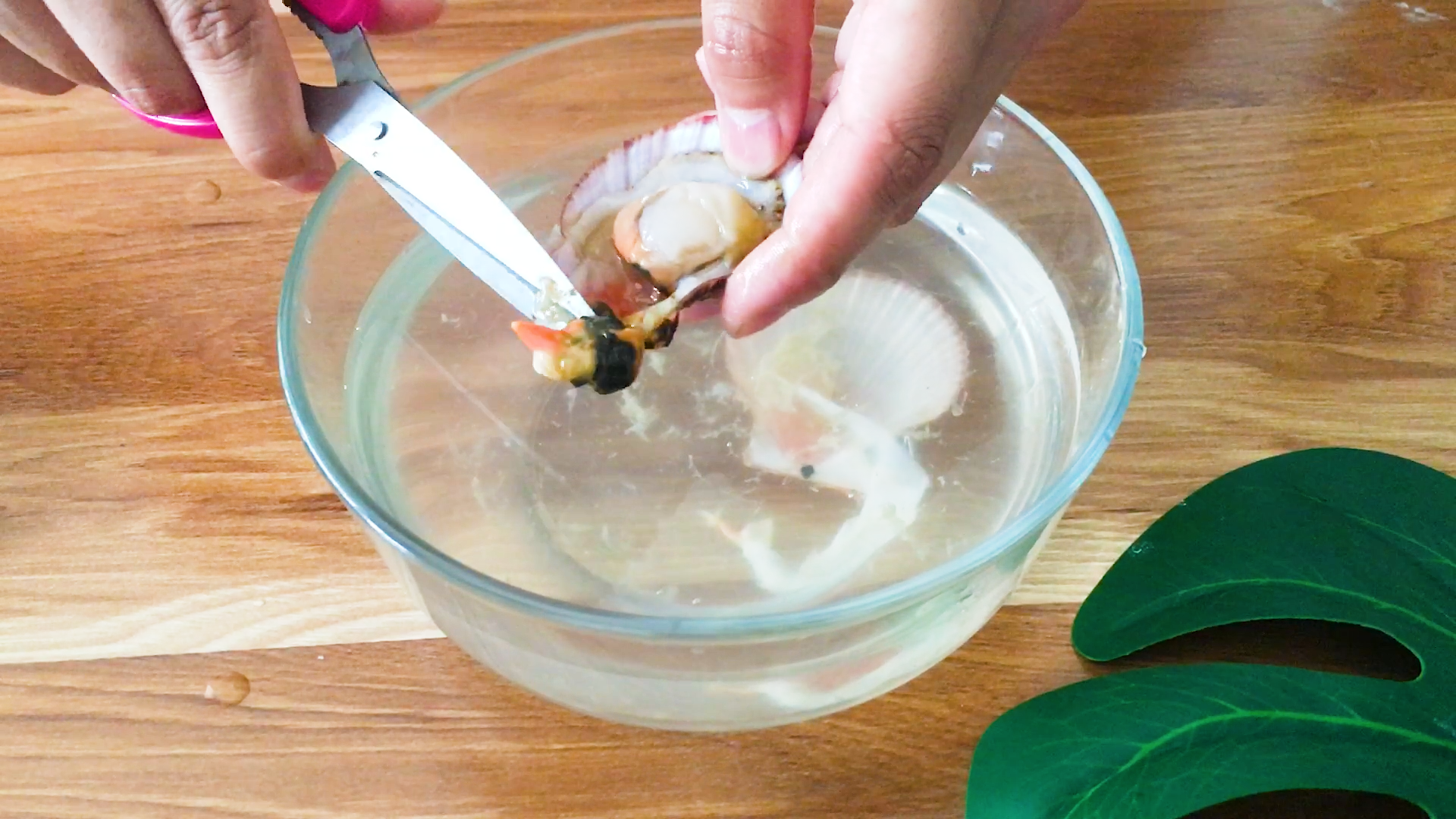蒜蓉粉丝扇贝的做法的做法 步骤2