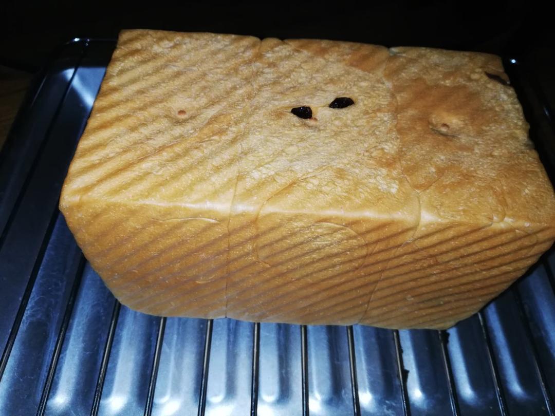 夺命软吐司(๑´ڡ`๑)超软拉丝极速方便的一次发酵吐司
