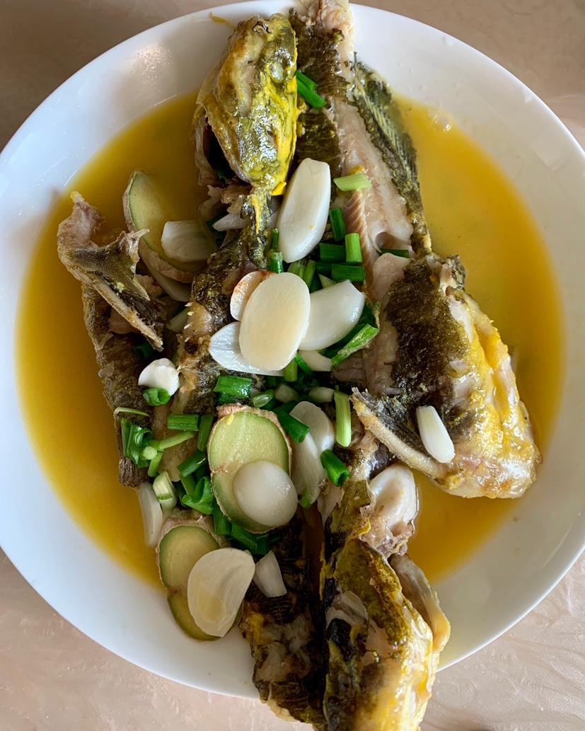 浓汤汪刺鱼的全部作品