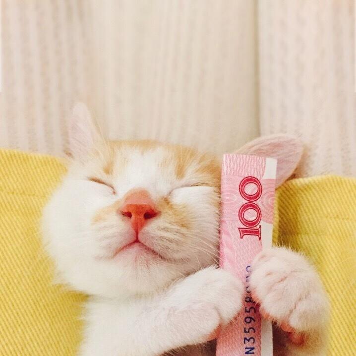阿开诶