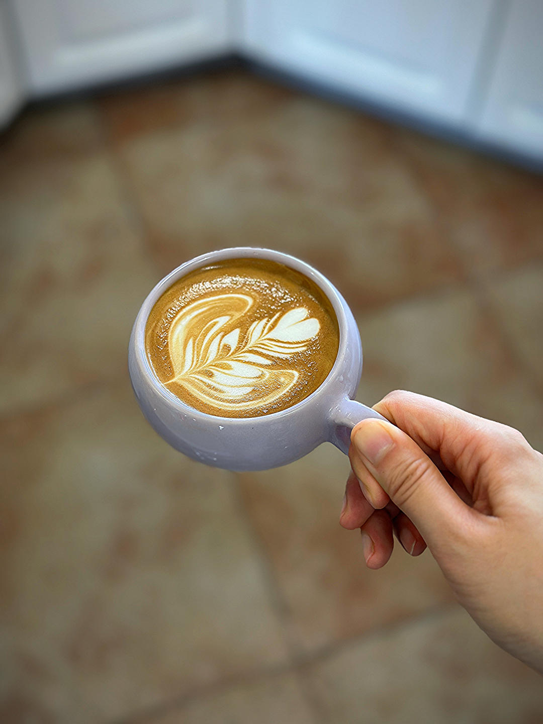 雯雯的咖啡☕️日记