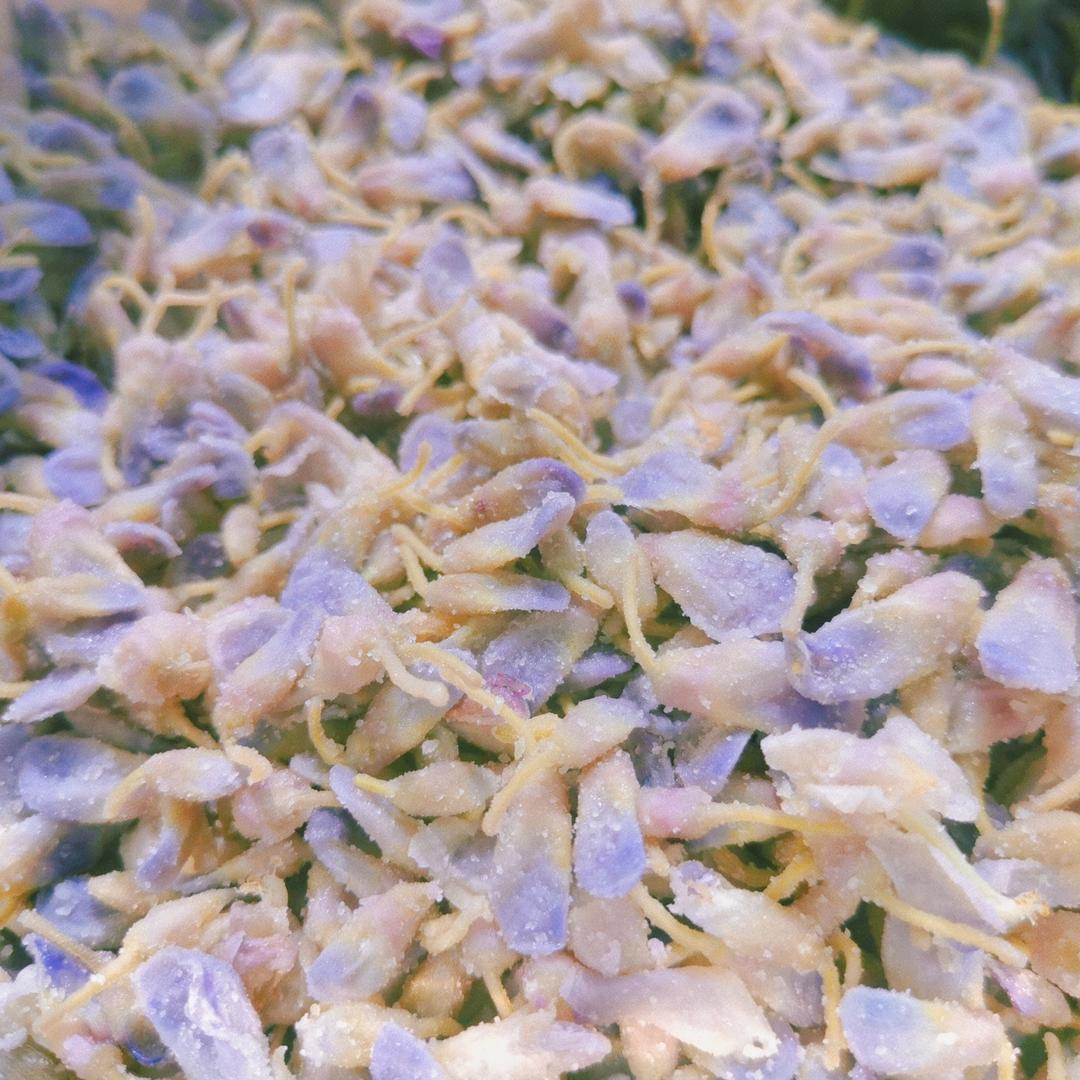 蒸桐花🌸