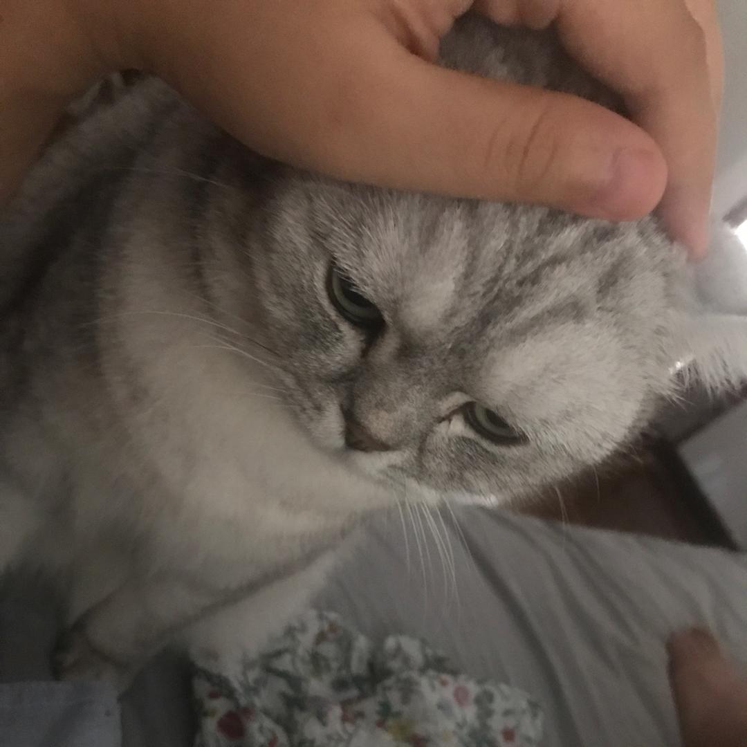 珩珩哥爱哼哼