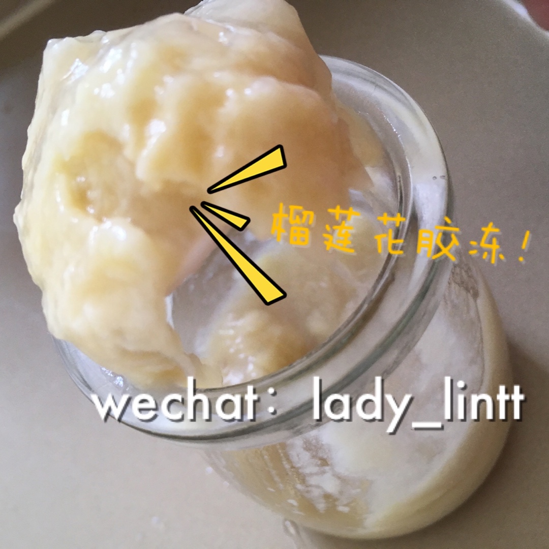 花胶牛奶冻（多口味推荐）