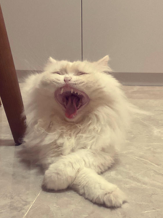 咕咚咕咚喝点水