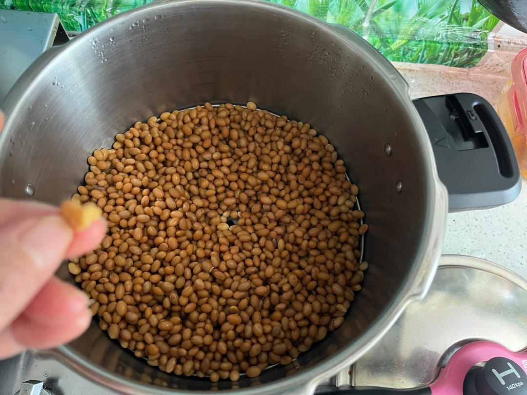 自制纳豆（酸奶机，面包机，烤箱版）