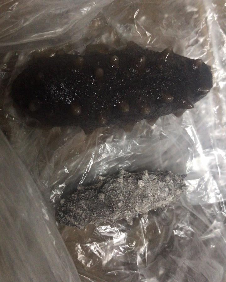 泡发海参的方法