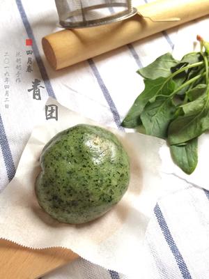 咸蛋黄肉松青团(菠菜）6个的做法 步骤8