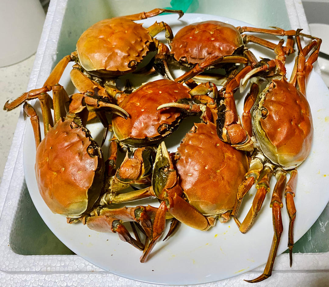 清蒸大闸蟹🦀🦀🦀（这菜太简单，不知道该写点啥）