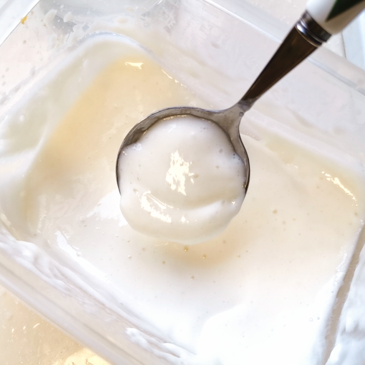 无糖无油海盐芝士奶酱（意式奶冻）的做法 步骤3