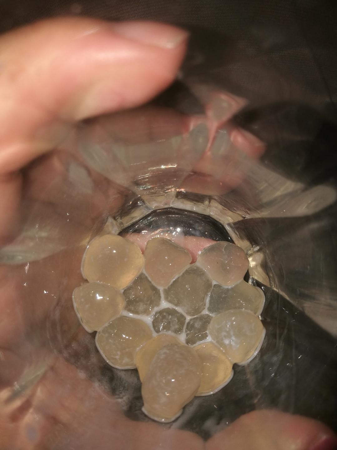 珍珠的做法（珍珠奶茶必备）