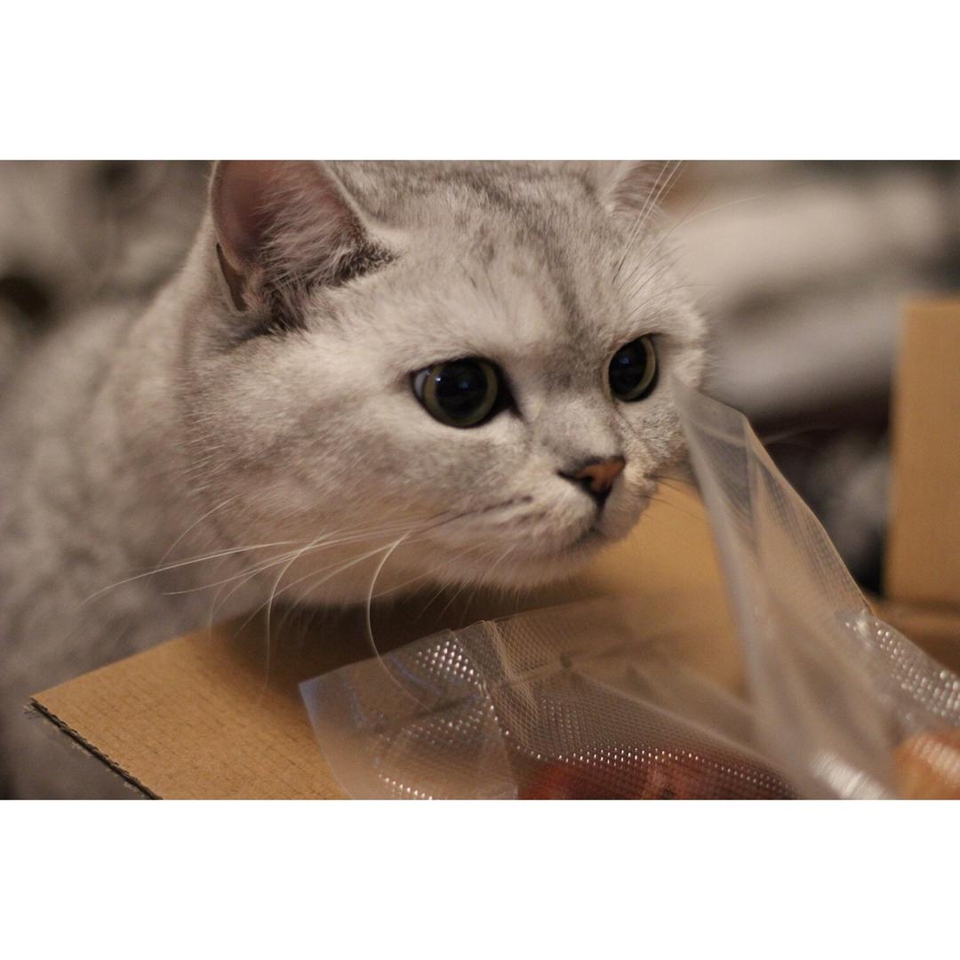 红酒桂圆全麦软欧