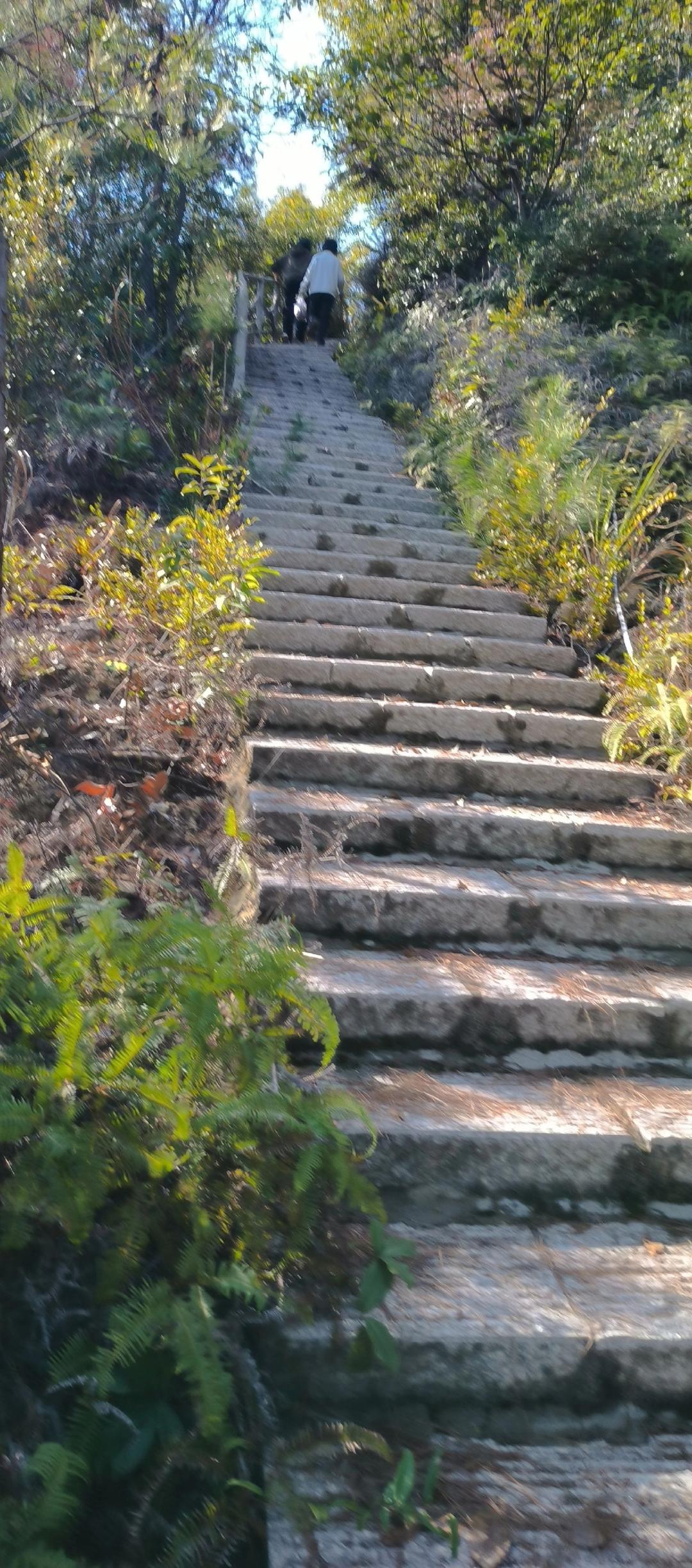 快炒萝卜丝简单美味