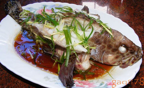 清蒸三斑石斑鱼