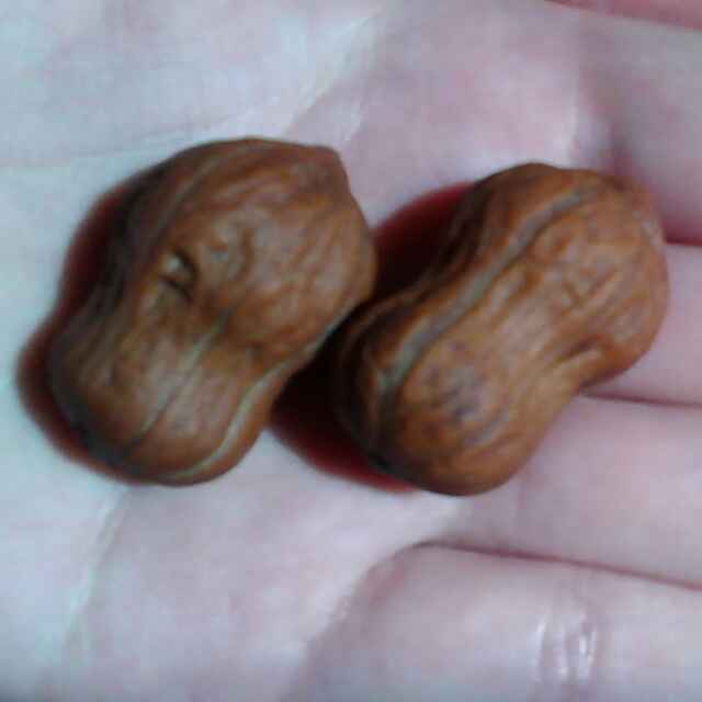 谁注册了我的小十一