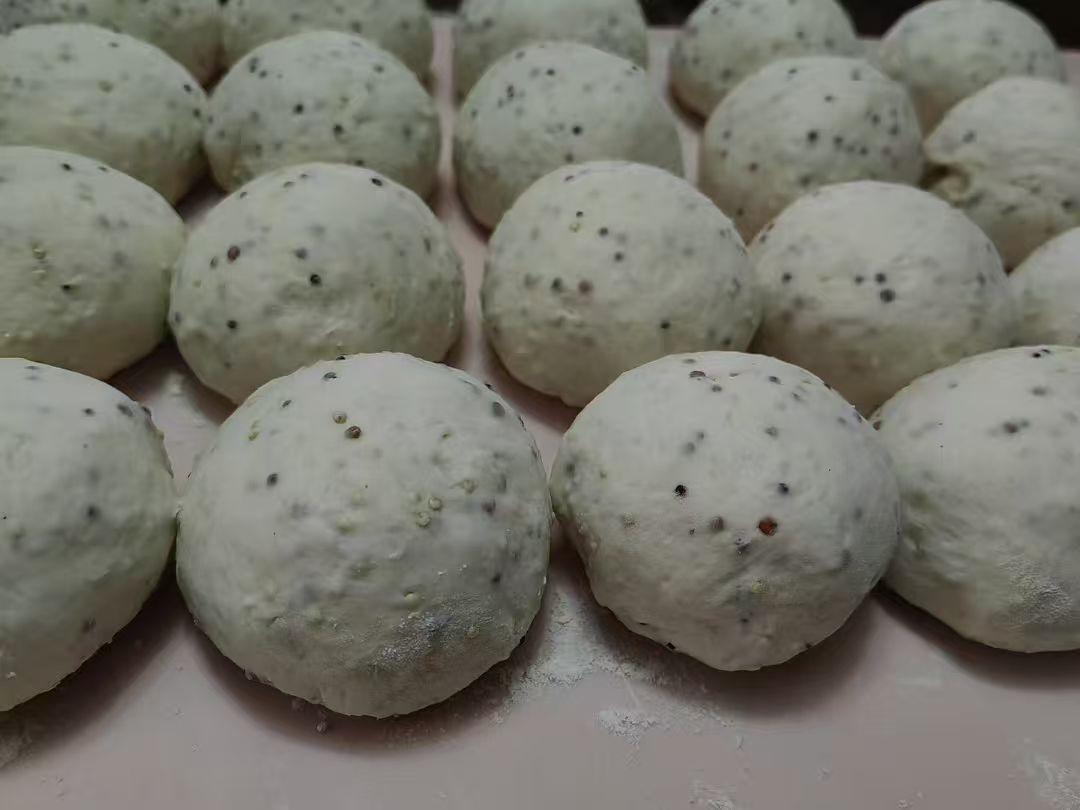 无需鲁邦种，直接法无油无糖谷物欧包