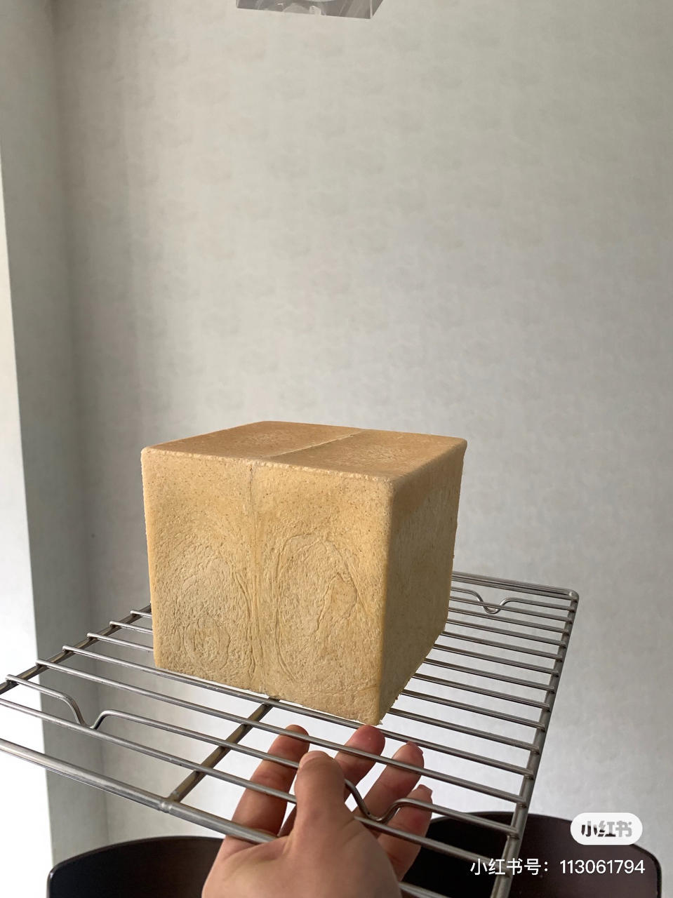 《银座顶级吐司》—— 全麦粒吐司（冷藏发酵）