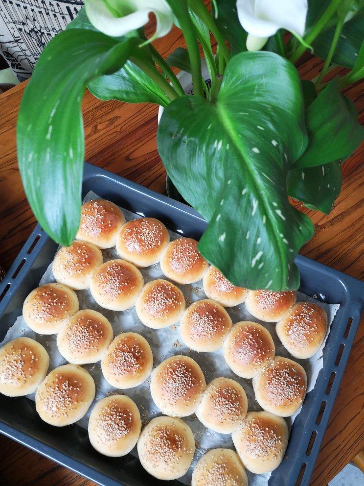 蜂蜜牛奶豆沙小餐包（普通面粉版）