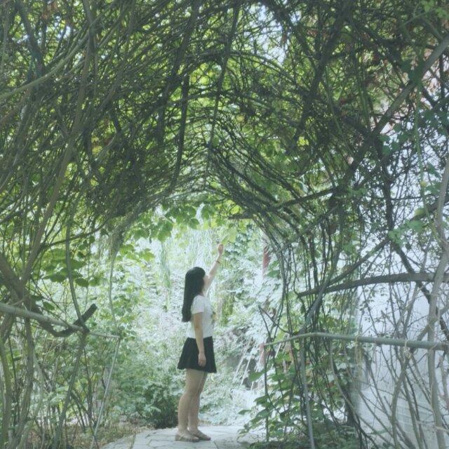 鱼小果_wc9m