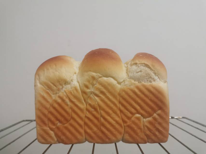 史上最详细的基础吐司教程