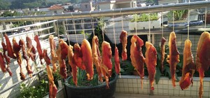 腊肠,香肠,腊肉,午餐肉自制的封面