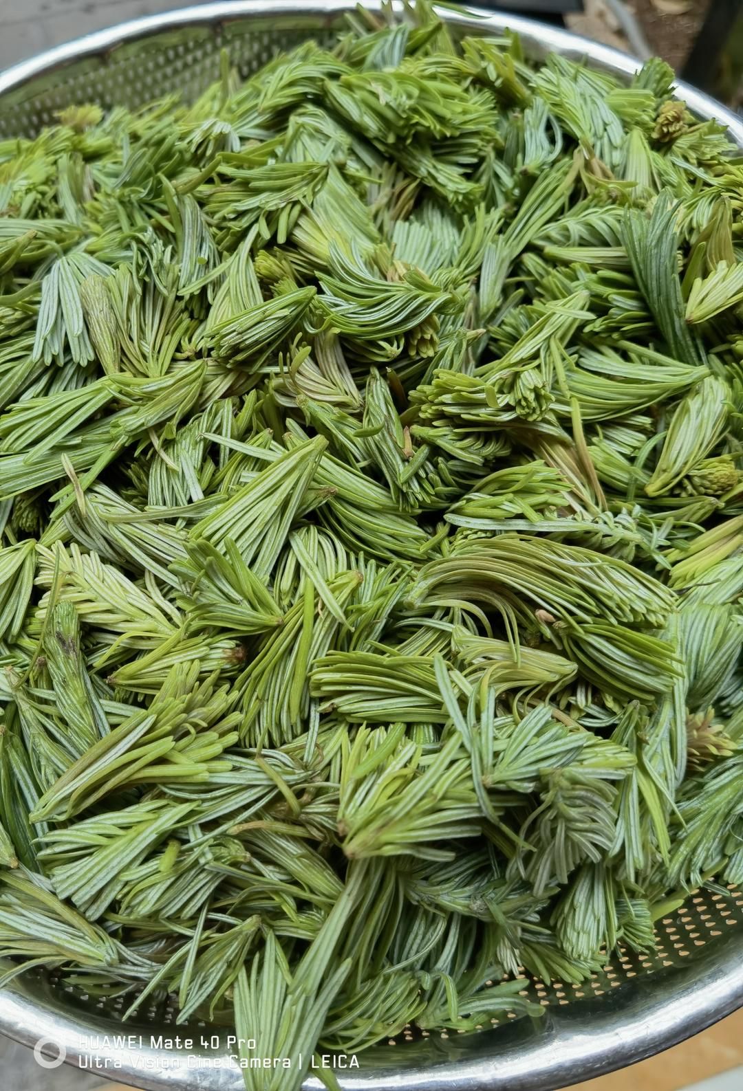 松毛尖炒韭菜的做法