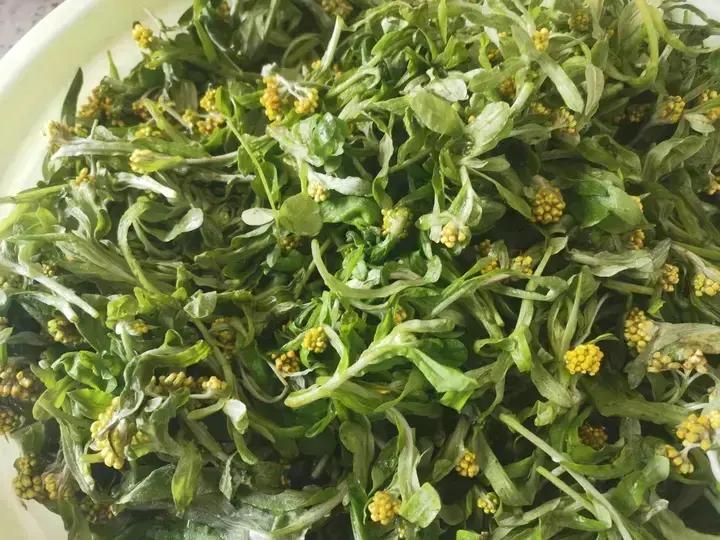 清明果（鼠曲草）