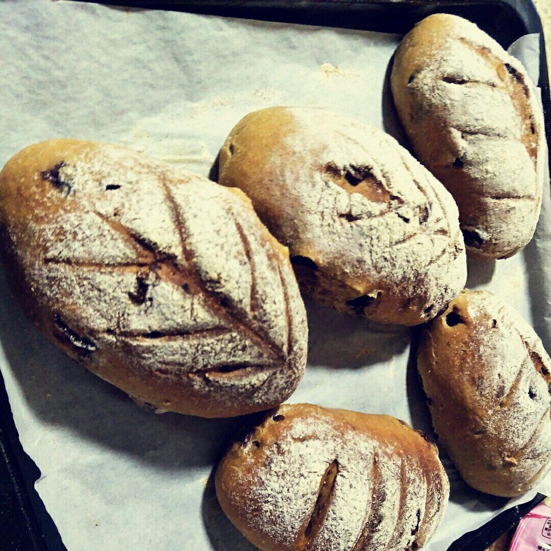 全麦蔓越莓软式欧包（免揉）