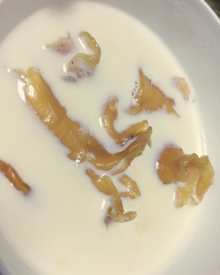 牛奶炖花胶（范冰冰推荐）