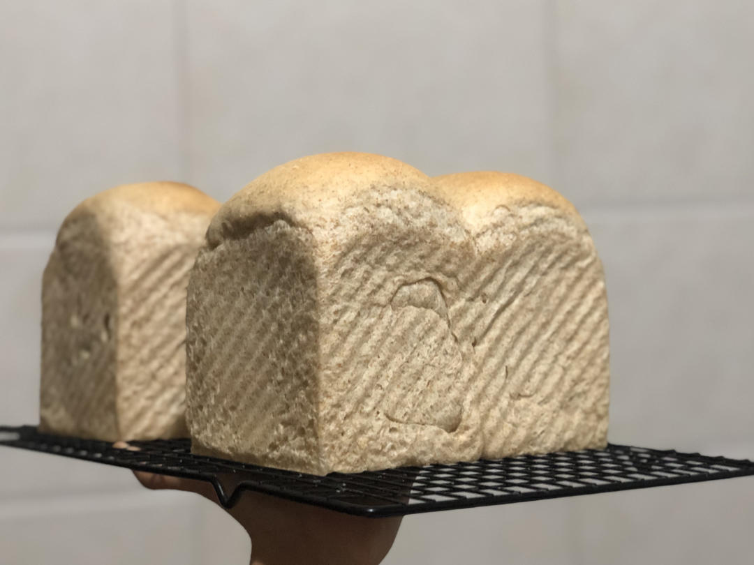 🍞全麦吐司直接法 （新良全麦面包粉）