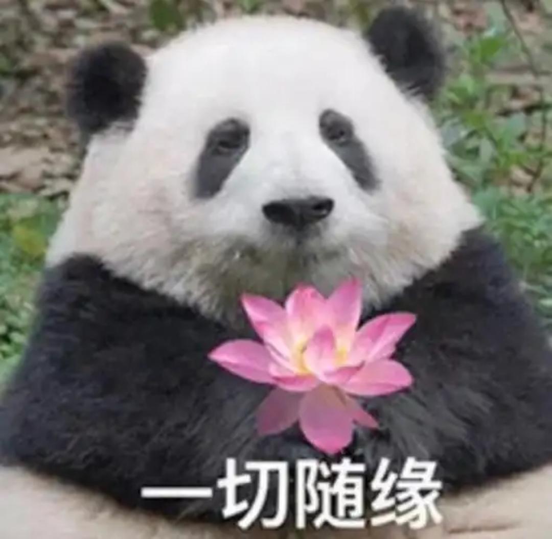 大口吃蛋糕