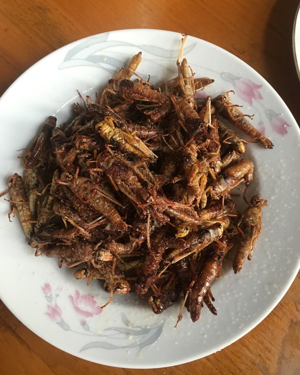 素心h做的炸蚂蚱