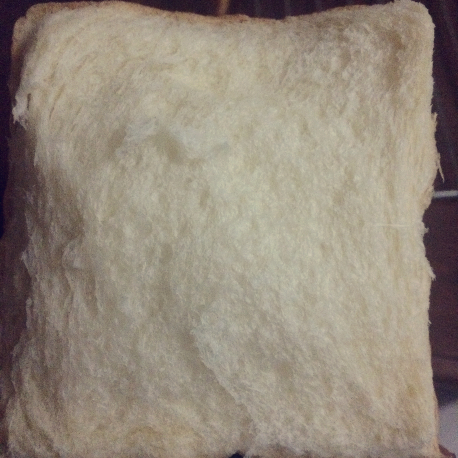 王光光光光的中种法北海道吐司详细步骤版（柏翠面包机8990型号制作）