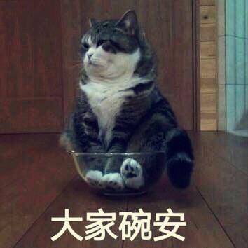 豆妈瓜娘