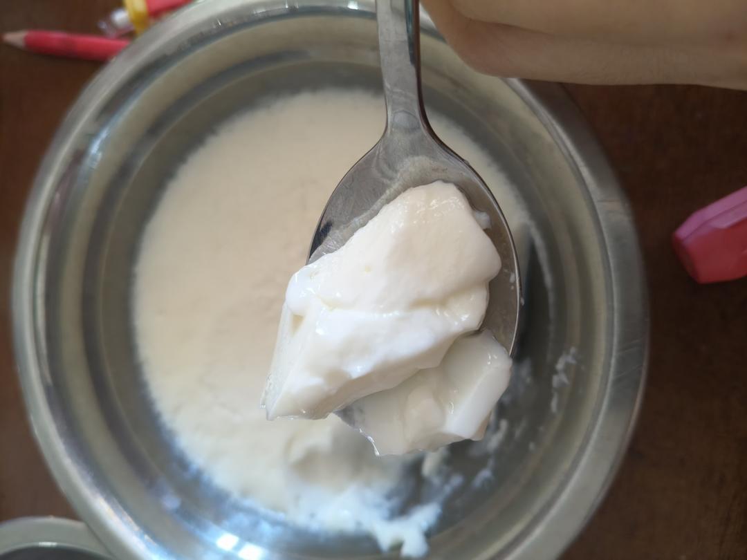 1盒牛奶+2颗鸡蛋，原来双皮奶的做法这么简单