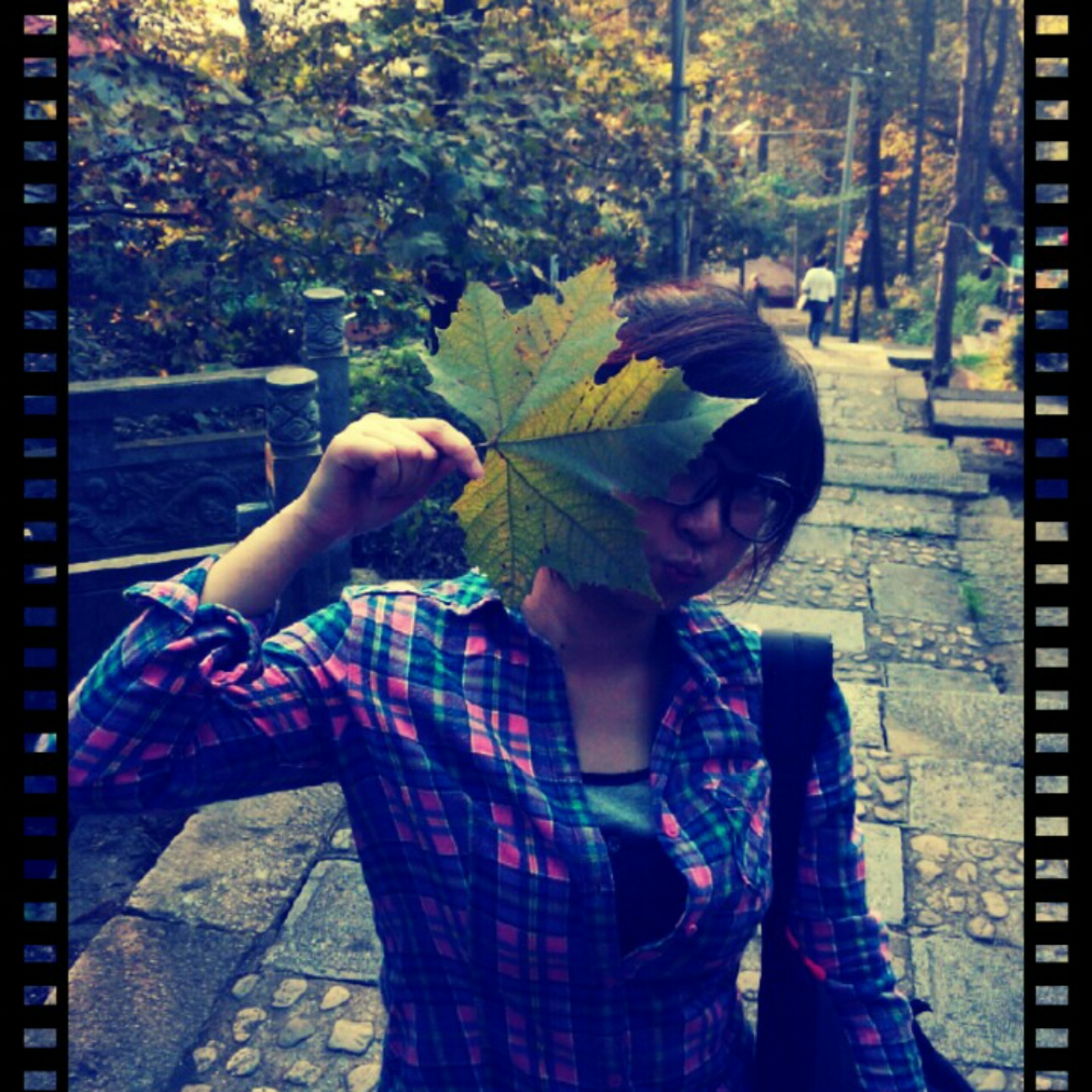 Cc_Meli_