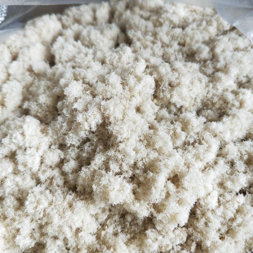 一滴水做的鱼松