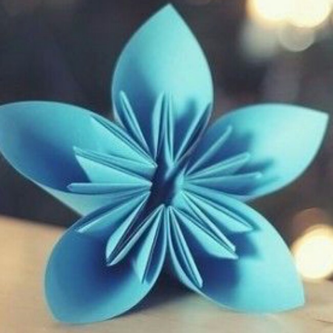 大马哈国的兔子