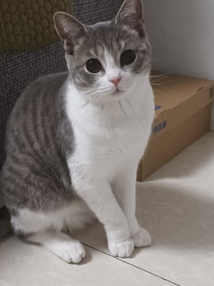 朱朵朵的妈