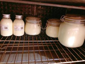 消耗淡奶油🥛                               教你做超浓郁的老酸奶的做法 步骤3