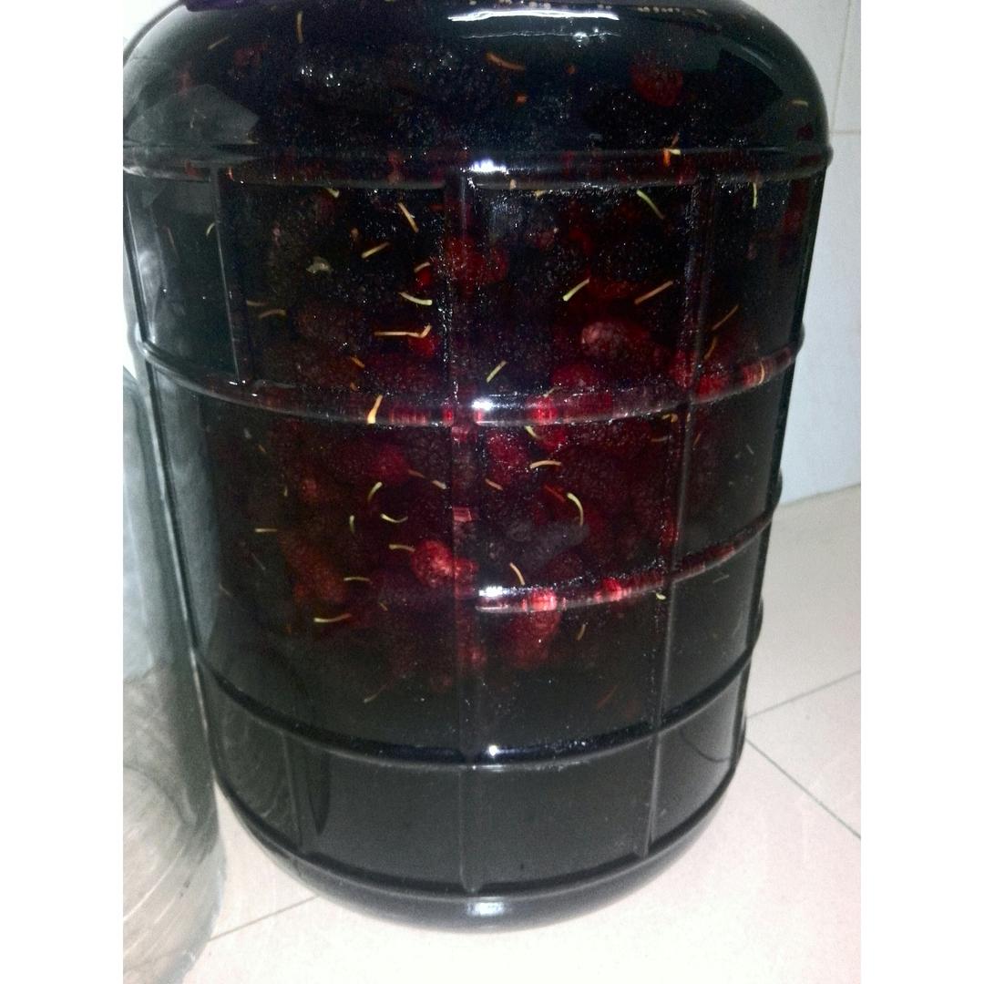 吾似多余做的桑葚酒