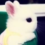 手机用户8899_a4sl