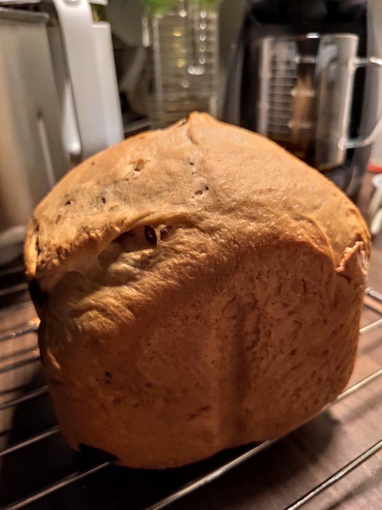 面包机做全麦软吐司