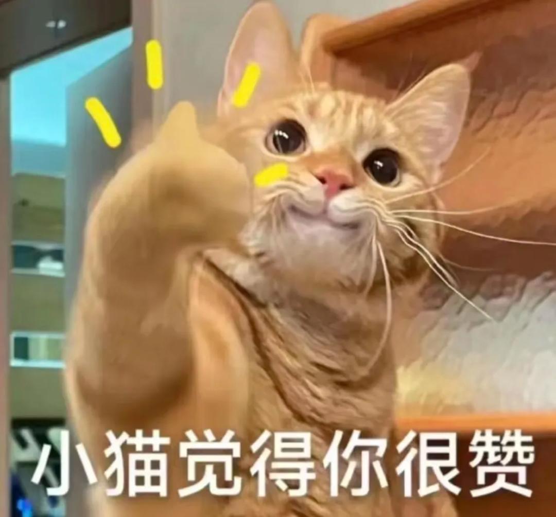 ♥阿華田愛布希♥